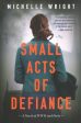 Small Acts of Defiance - A Novel of WWII and Paris Cheap