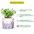 Ecofynd: 4  Ceramic Flower Pot with Drainage Hole on Sale