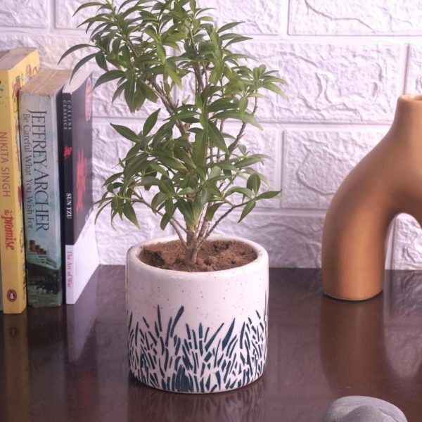 Ecofynd: 4  Ceramic Flower Pot with Drainage Hole on Sale